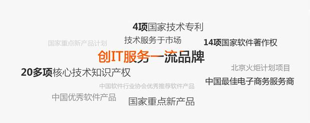 山东中扬信息技术